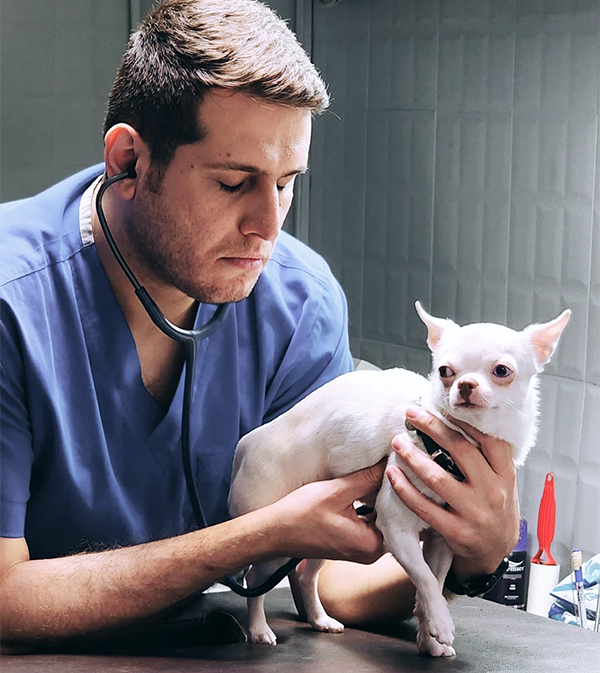 Northfield-Cardiology-1