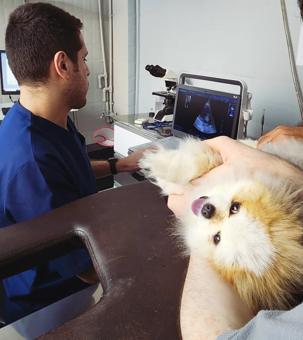 Northfield-Cardiology-3