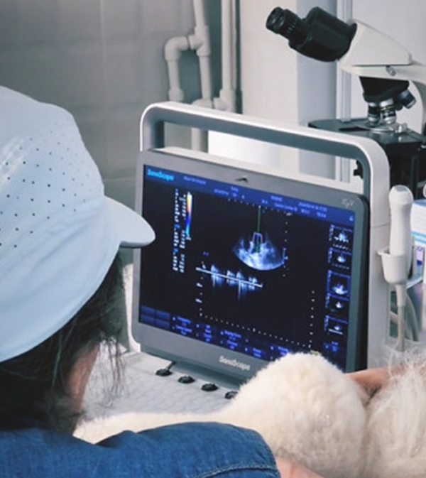 Northfield-Cardiology-4