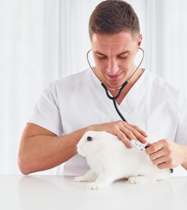 Exotic Animal Services