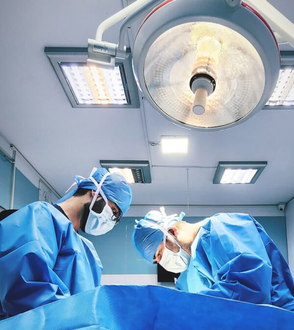 Orthopedic and Soft Tissue Surgery at Northfield Veterinary Surgery Department